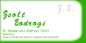 zsolt bodrogi business card